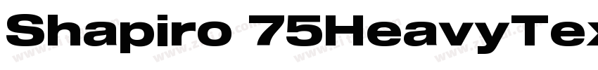 Shapiro 75HeavyText字体转换 Shapiro 75HeavyText字体转换